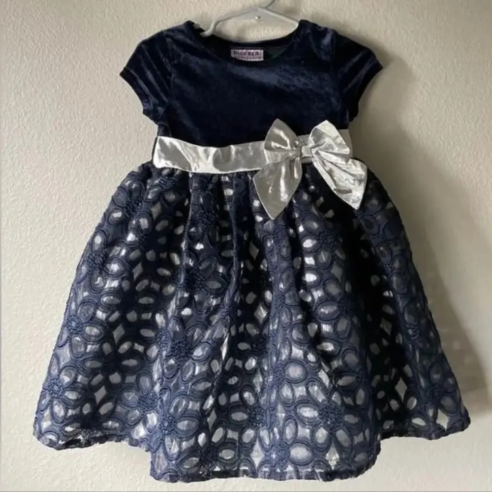 Blueberi Boulevard Velvet Dress in Deep Blue- Size 2T - Picture 1 of 5